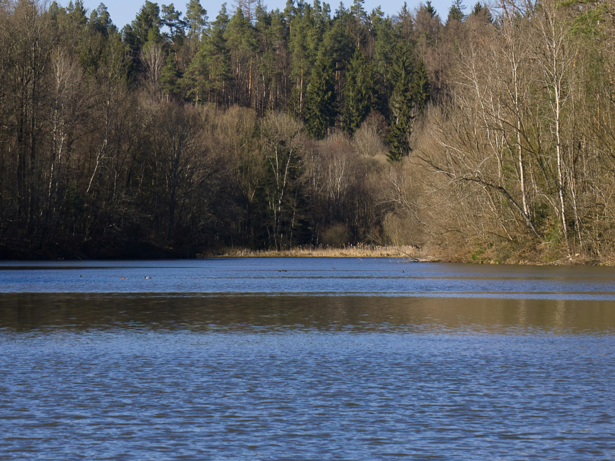 Geiseltalsee