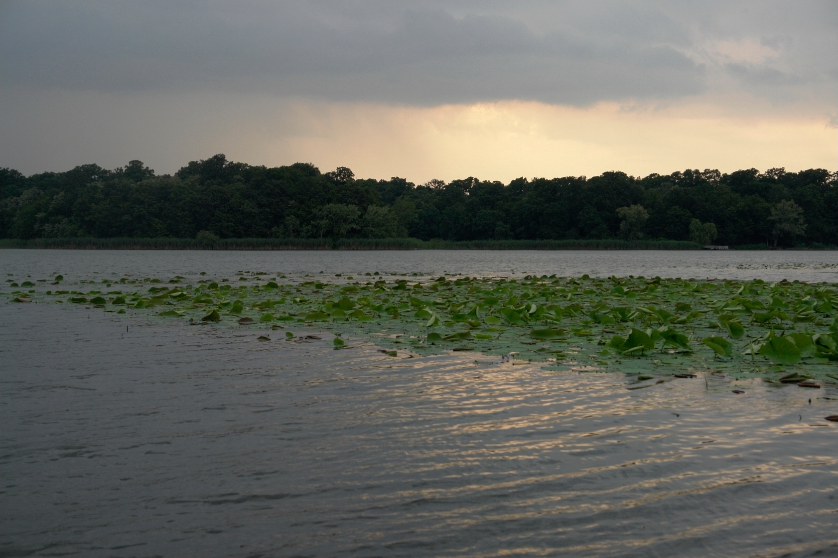 Snagov- public pontoon